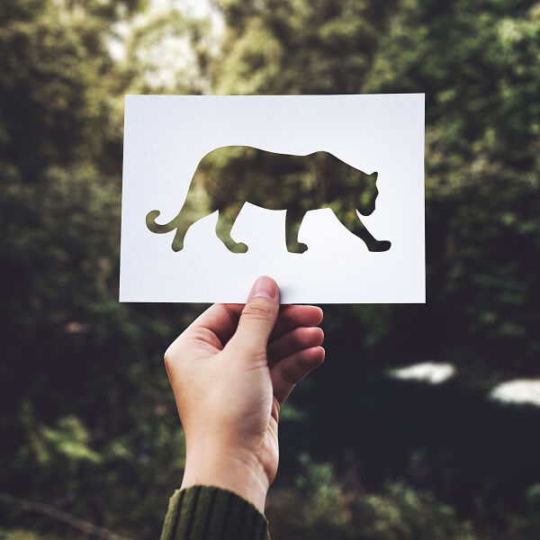 Hand holding a silhouette of a wild animal, representing the risks associated with wildlife management without professional expertise.